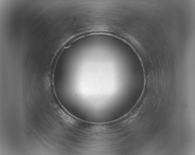 X0000070241212200606091326