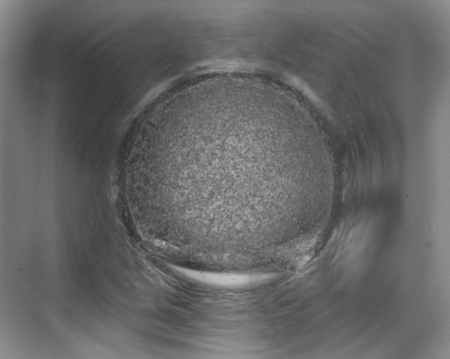 X0000070241213200606091326