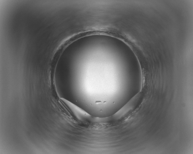 X0000070241214200606091326