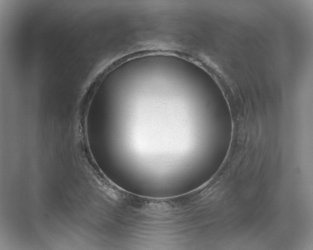 X0000070241215200606091326