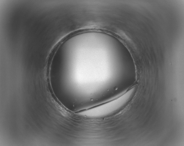 X0000070241216200606091326