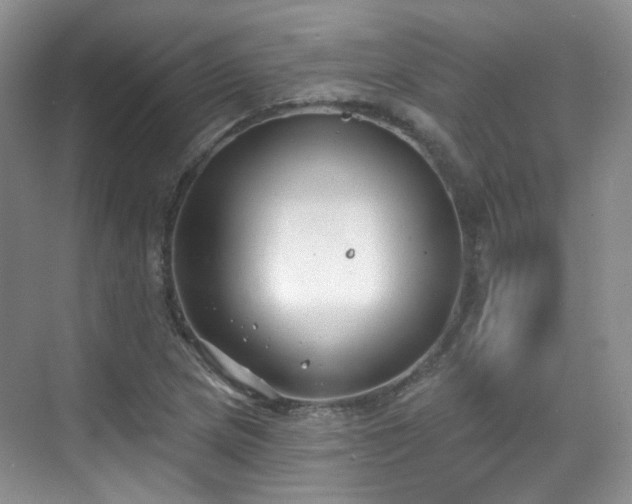 X0000070241217200606091326