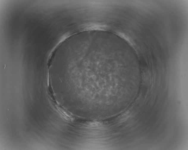 X0000070241219200606091326