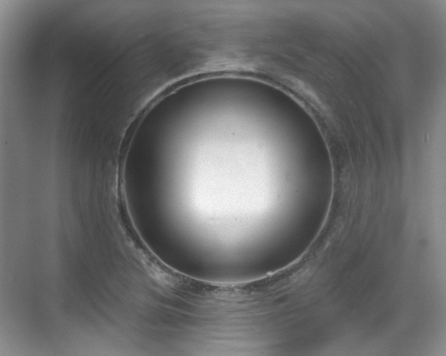 X0000070241220200606091326