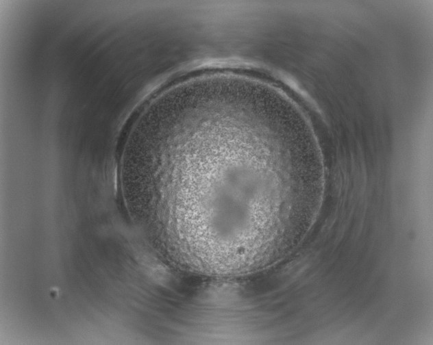 X0000070241221200606091326