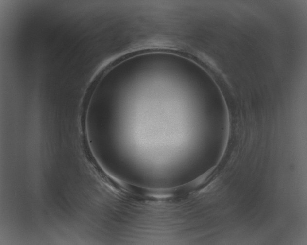 X0000070241222200606091326