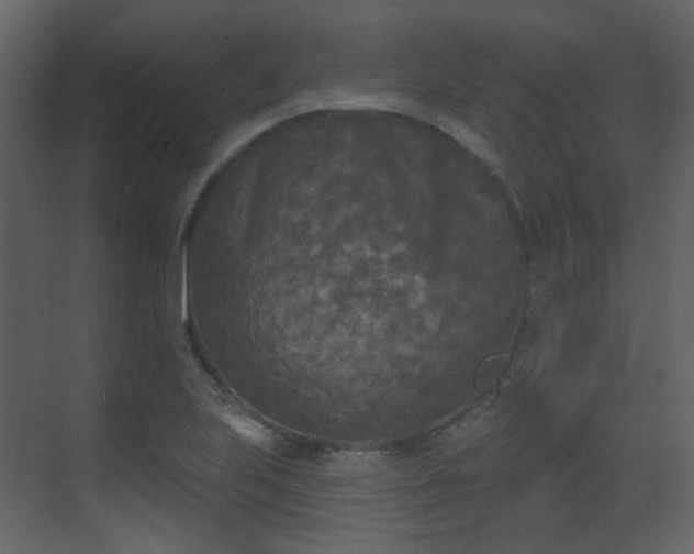 X0000070241223200606091326