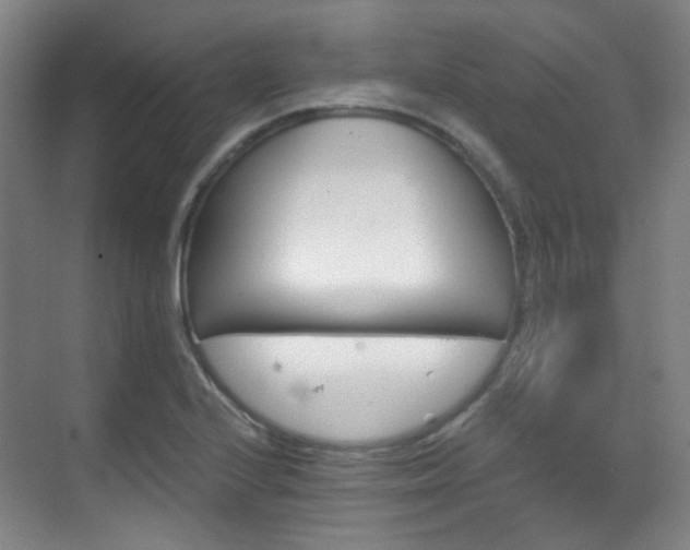 X0000070241224200606091326