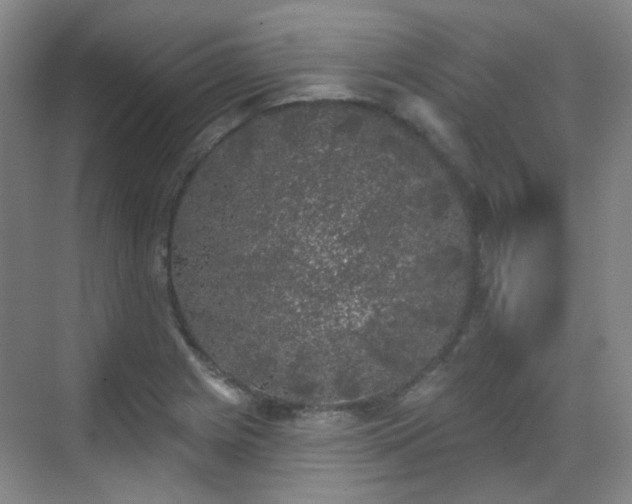 X0000070241225200606091326