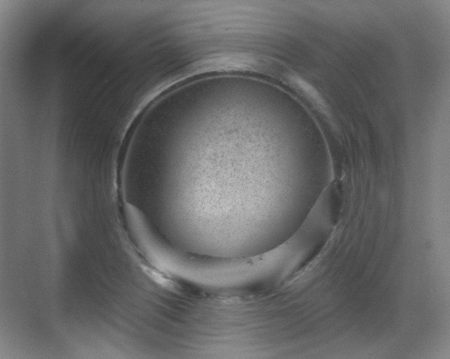 X0000070241226200606091326