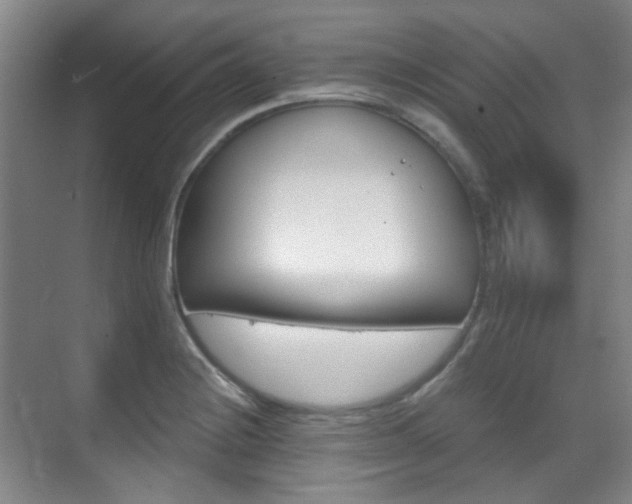 X0000070241228200606091326