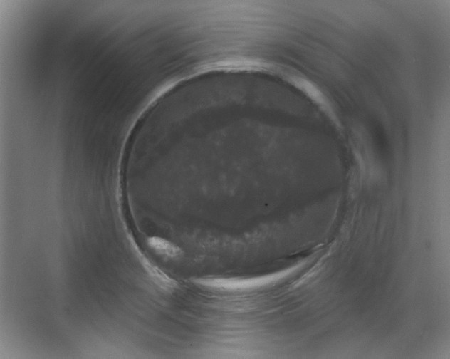 X0000070241229200606091326