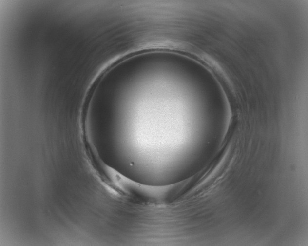 X0000070241230200606091326