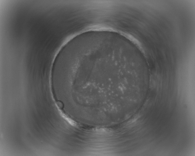 X0000070241231200606091326