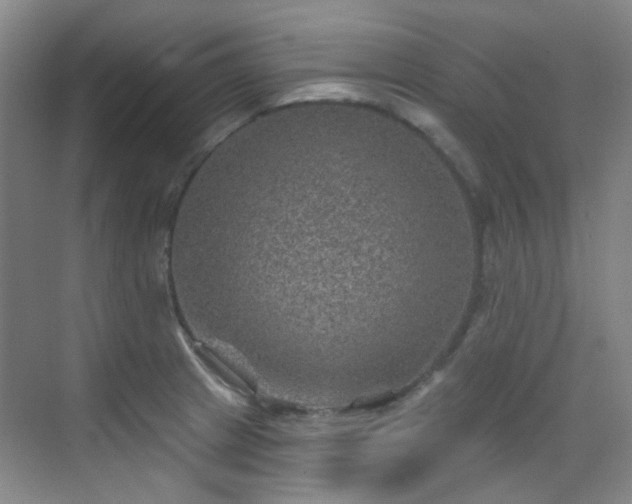 X0000070241233200606091326