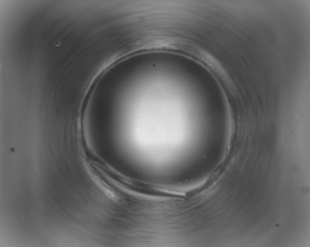 X0000070241234200606091326