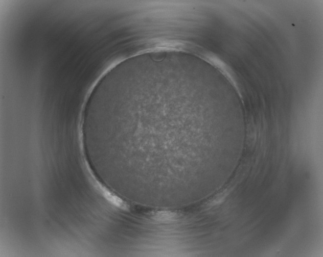 X0000070241235200606091326