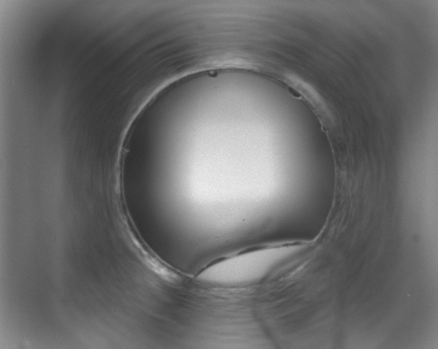 X0000070241236200606091326