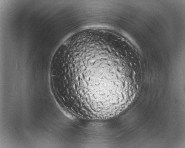 X0000070241237200606091326