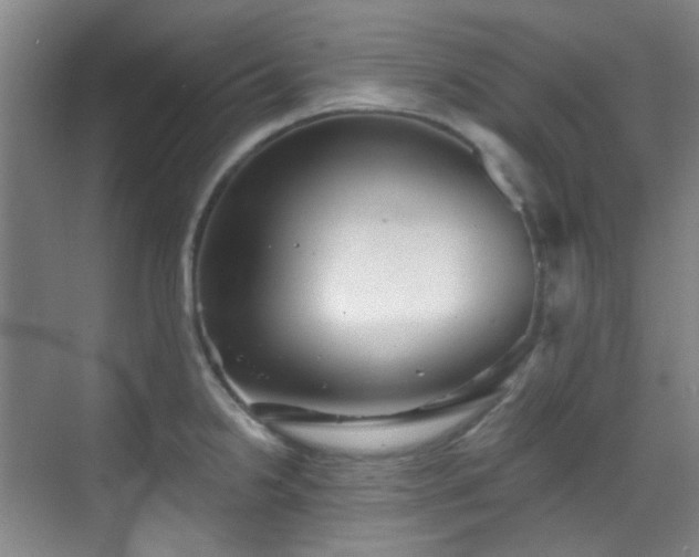 X0000070241238200606091326