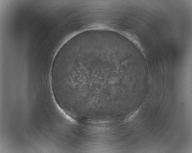 X0000070241239200606091326