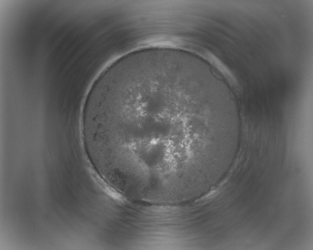 X0000070241240200606091326