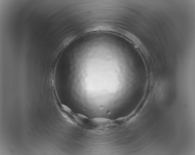 X0000070241241200606091326