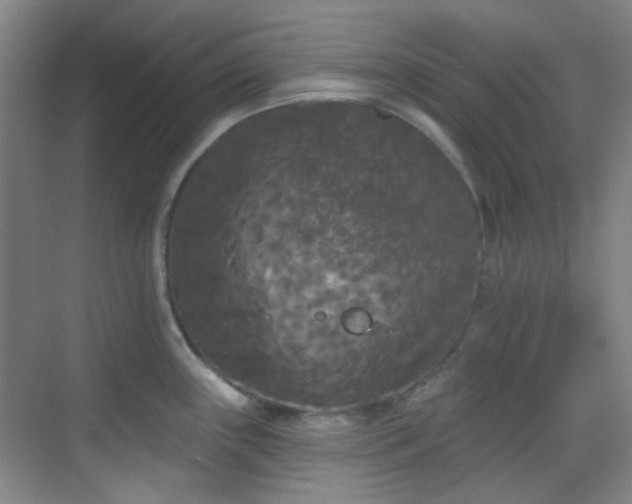 X0000070241243200606091326