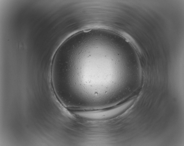 X0000070241244200606091326