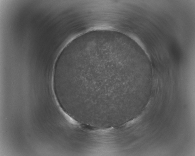 X0000070241245200606091326