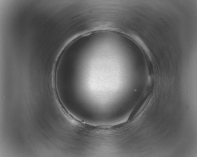 X0000070241246200606091326