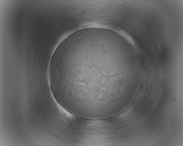 X0000070241247200606091326