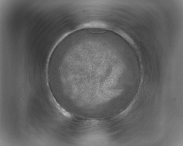 X0000070241248200606091326