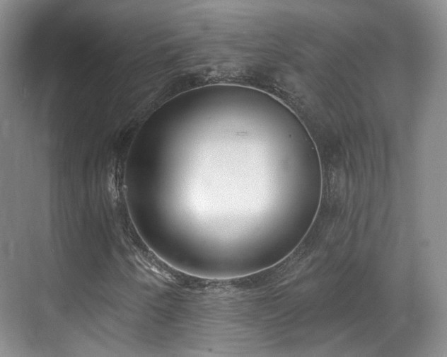 X0000070241250200606091326