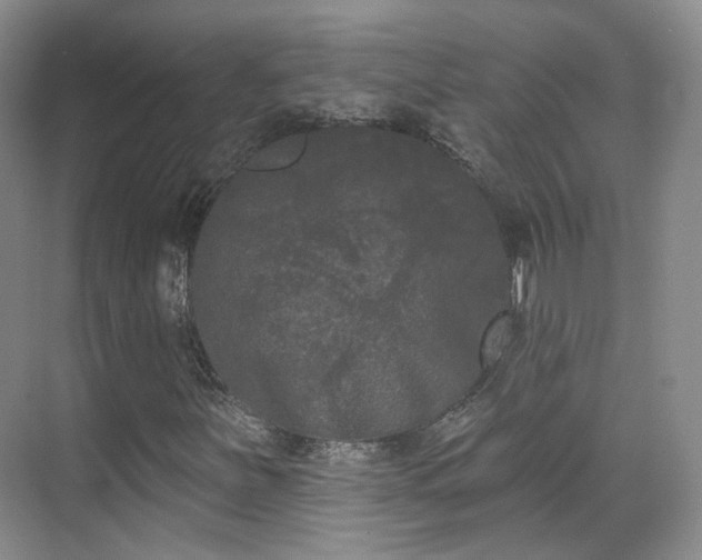 X0000070241251200606091326