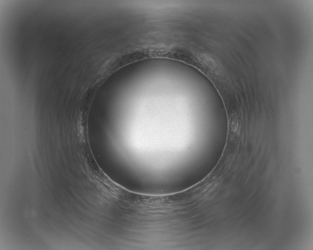 X0000070241252200606091326