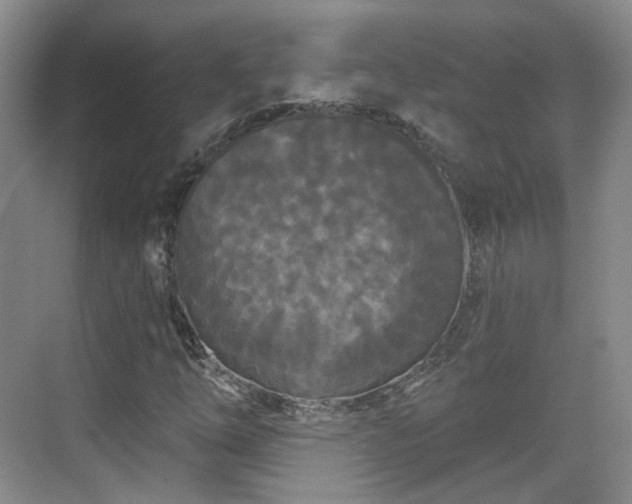 X0000070241254200606091326