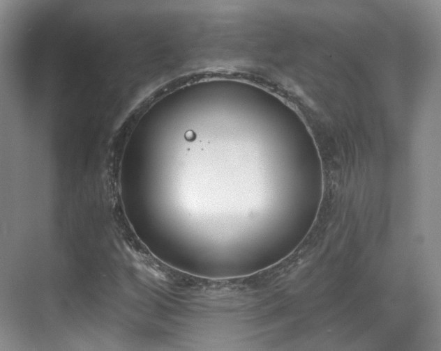 X0000070241256200606091326