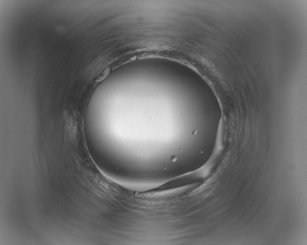 X0000070241257200606091326