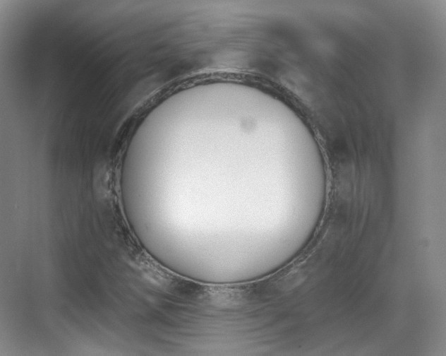 X0000070241258200606091326