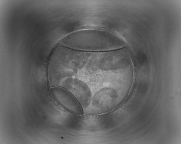 X0000070241259200606091325