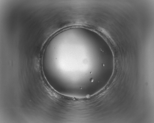 X0000070241260200606091325