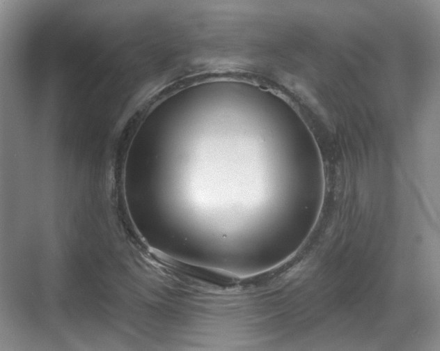 X0000070241261200606091325