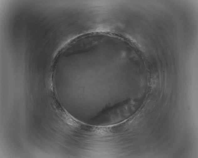 X0000070241262200606091325