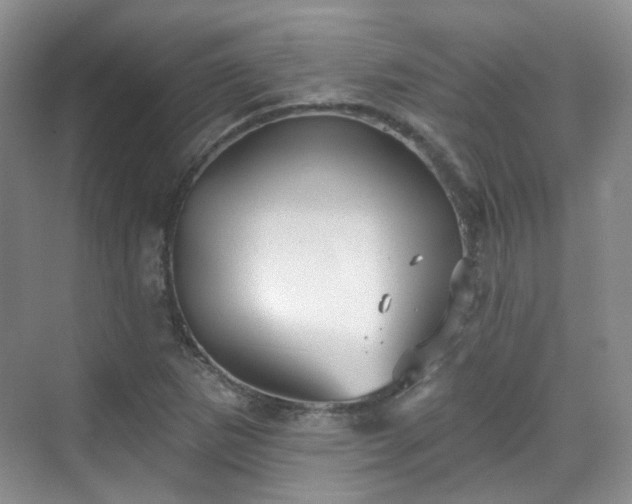 X0000070241265200606091325