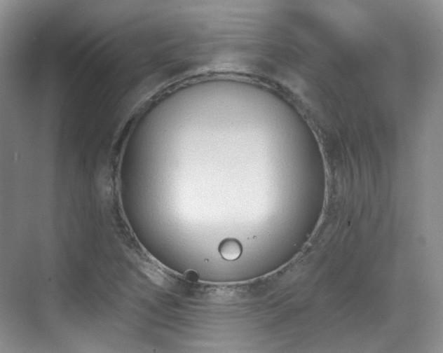 X0000070241266200606091325