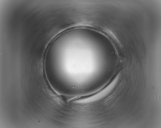 X0000070241268200606091325