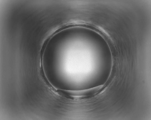 X0000070241269200606091325