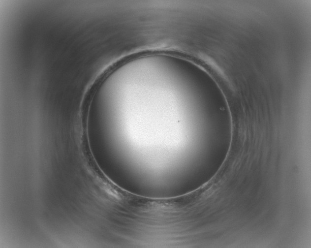 X0000070241270200606091325