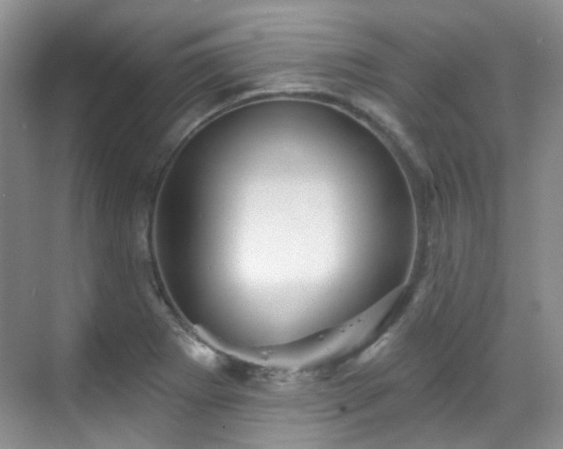 X0000070241273200606091325